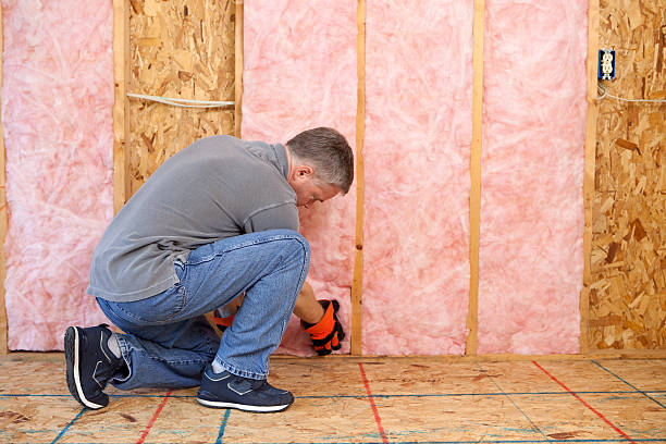 Best DIY Insulation Kits and Guidance in Centerville, UT